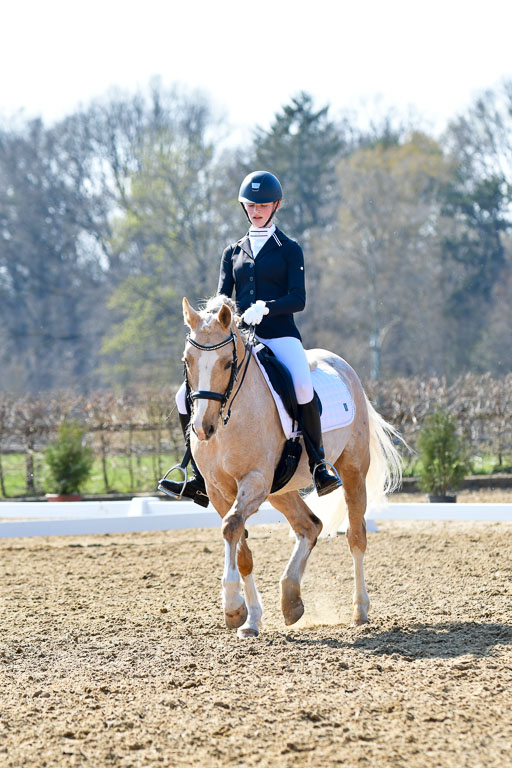 Reitsportzentrum Bremervörde | 170421 Dressur M+ _124 