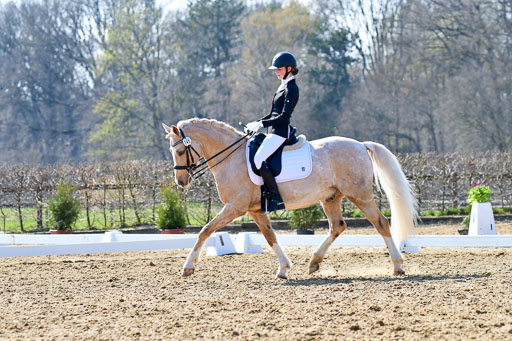 Reitsportzentrum Bremervörde | 170421 Dressur M+ _125 