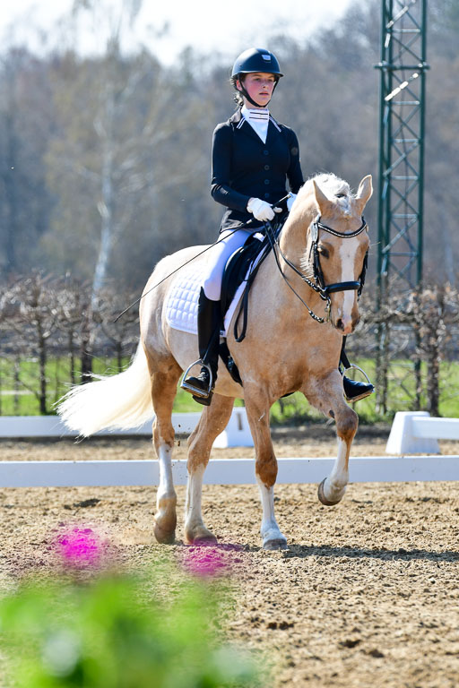 Reitsportzentrum Bremervörde | 170421 Dressur M+ _126 