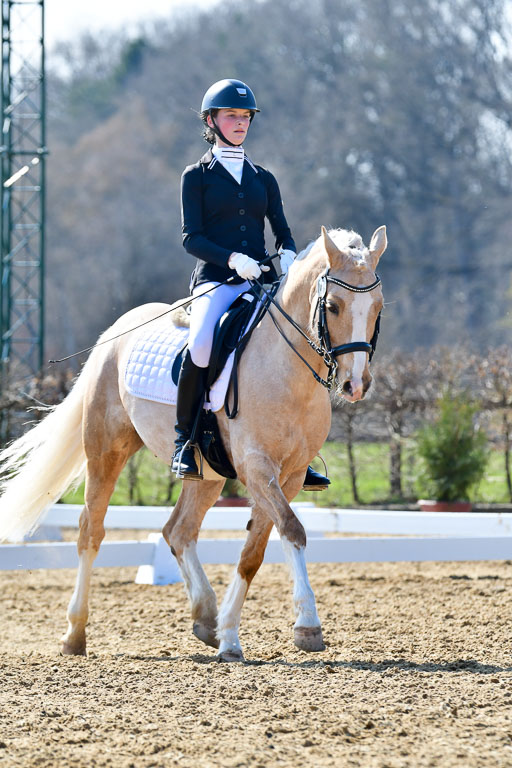 Reitsportzentrum Bremervörde | 170421 Dressur M+ _127 