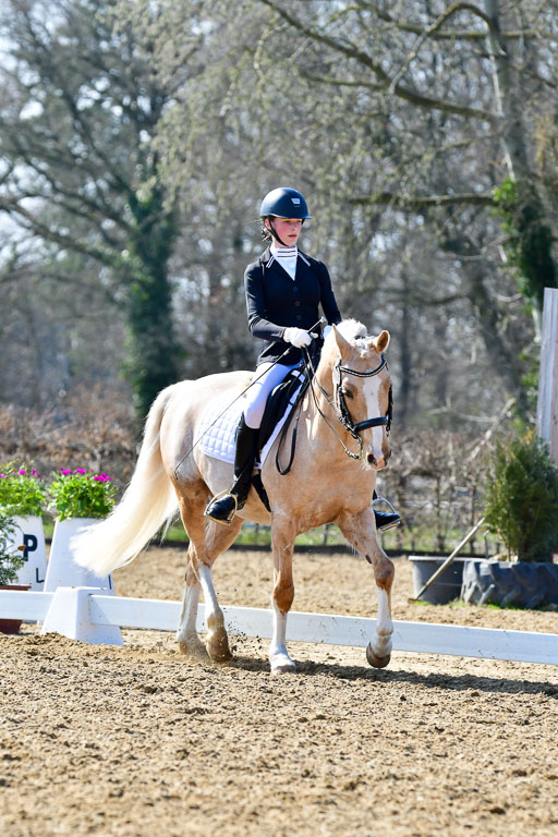 Reitsportzentrum Bremervörde | 170421 Dressur M+ _128 