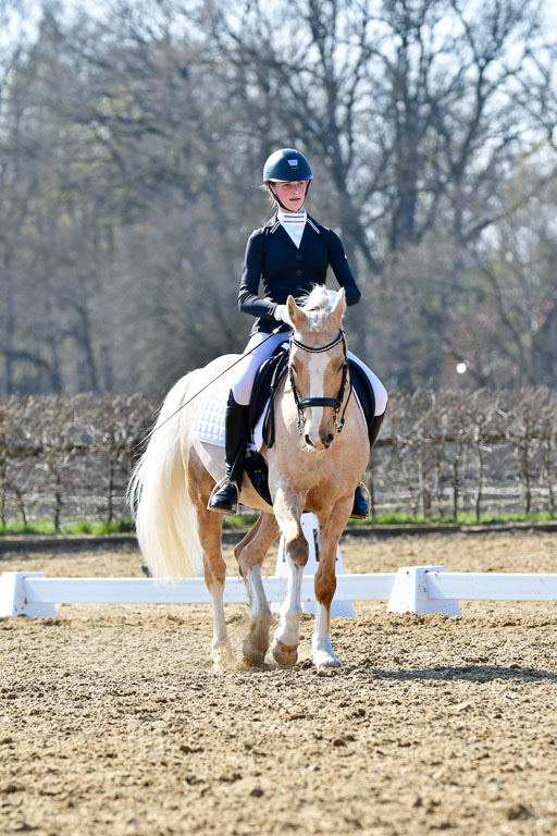 Reitsportzentrum Bremervörde | 170421 Dressur M+ _129 