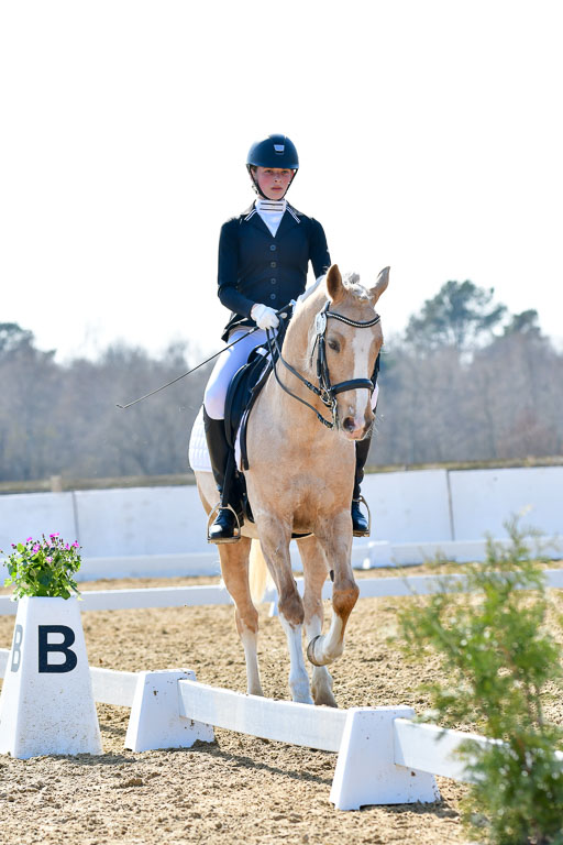 Reitsportzentrum Bremervörde | 170421 Dressur M+ _130 
