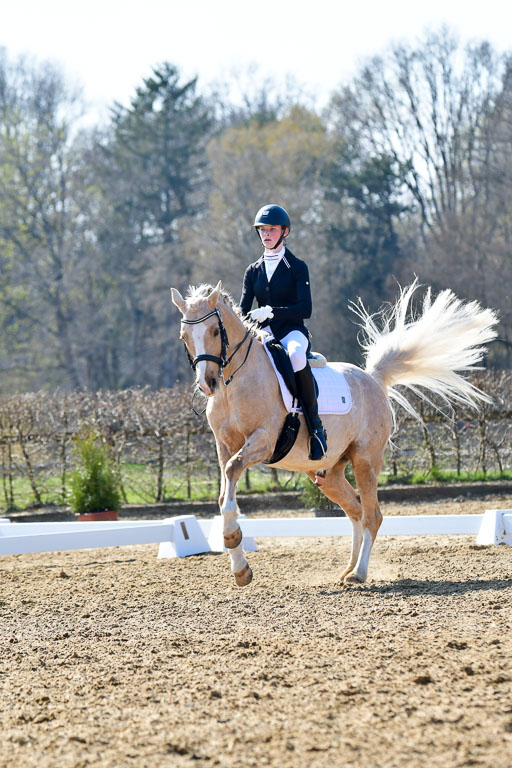 Reitsportzentrum Bremervörde | 170421 Dressur M+ _131 