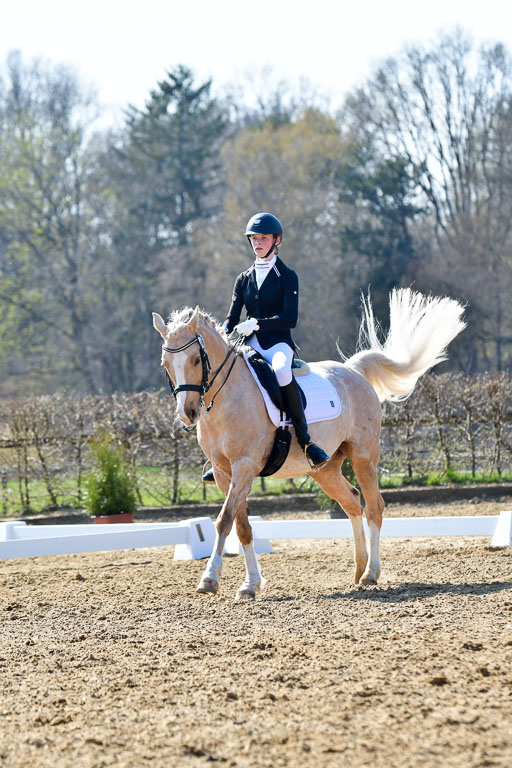 Reitsportzentrum Bremervörde | 170421 Dressur M+ _132 
