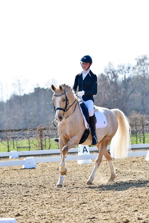 Reitsportzentrum Bremervörde | 170421 Dressur M+ _135 