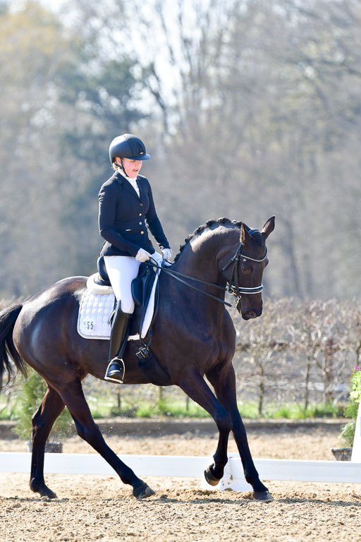 Reitsportzentrum Bremervörde | 170421 Dressur M+ _136 