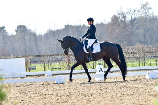 Reitsportzentrum Bremervörde | 170421 Dressur M+ _140 
