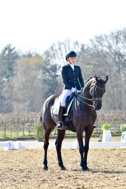 Reitsportzentrum Bremervörde | 170421 Dressur M+ _142 