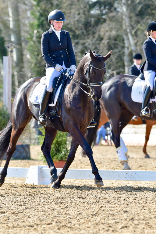 Reitsportzentrum Bremervörde | 170421 Dressur M+ _144 