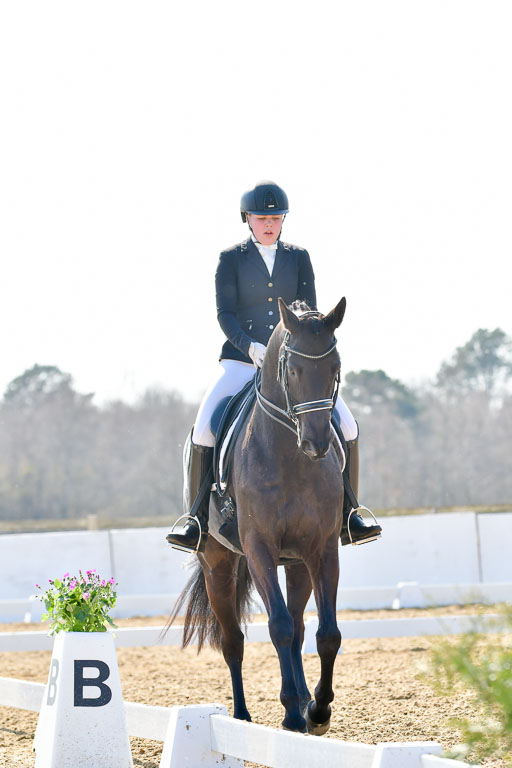 Reitsportzentrum Bremervörde | 170421 Dressur M+ _147 