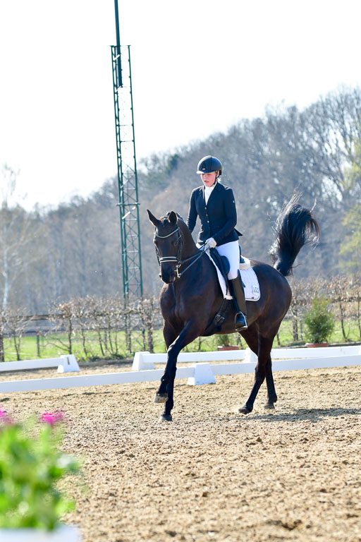Reitsportzentrum Bremervörde | 170421 Dressur M+ _148 