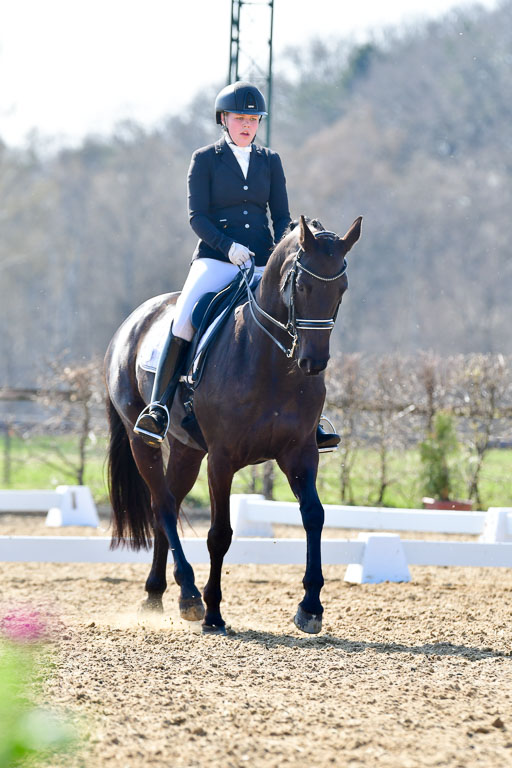 Reitsportzentrum Bremervörde | 170421 Dressur M+ _149 