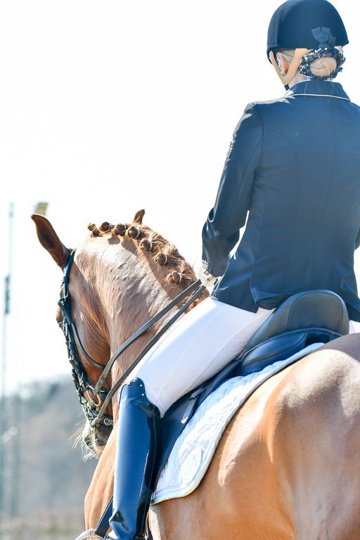 Reitsportzentrum Bremervörde | 170421 Dressur M+ _150 