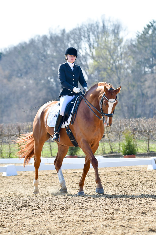 Reitsportzentrum Bremervörde | 170421 Dressur M+ _151 