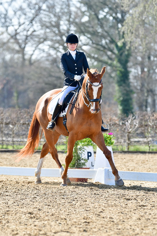 Reitsportzentrum Bremervörde | 170421 Dressur M+ _153 