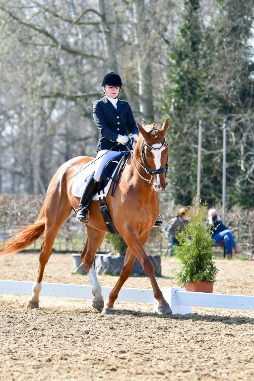 Reitsportzentrum Bremervörde | 170421 Dressur M+ _154 
