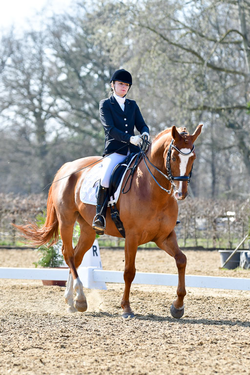 Reitsportzentrum Bremervörde | 170421 Dressur M+ _155 