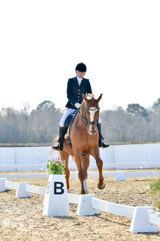 Reitsportzentrum Bremervörde | 170421 Dressur M+ _156 