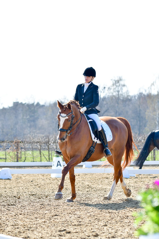 Reitsportzentrum Bremervörde | 170421 Dressur M+ _157 