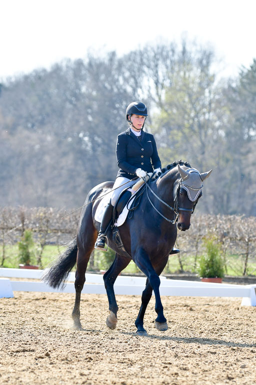 Reitsportzentrum Bremervörde | 170421 Dressur M+ _158 