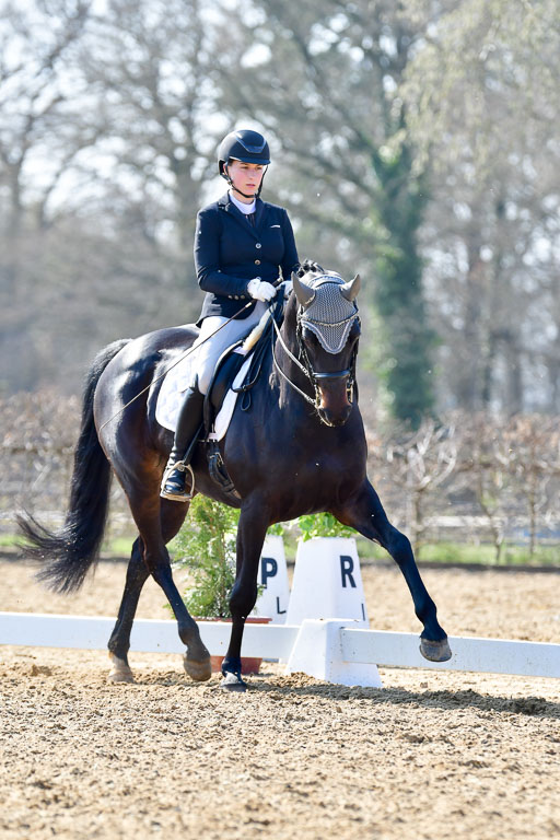 Reitsportzentrum Bremervörde | 170421 Dressur M+ _159 