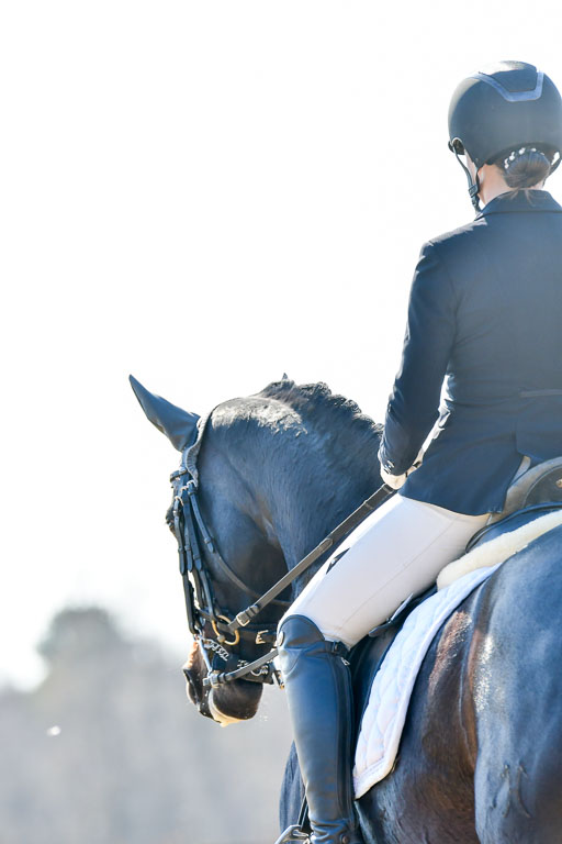 Reitsportzentrum Bremervörde | 170421 Dressur M+ _162 