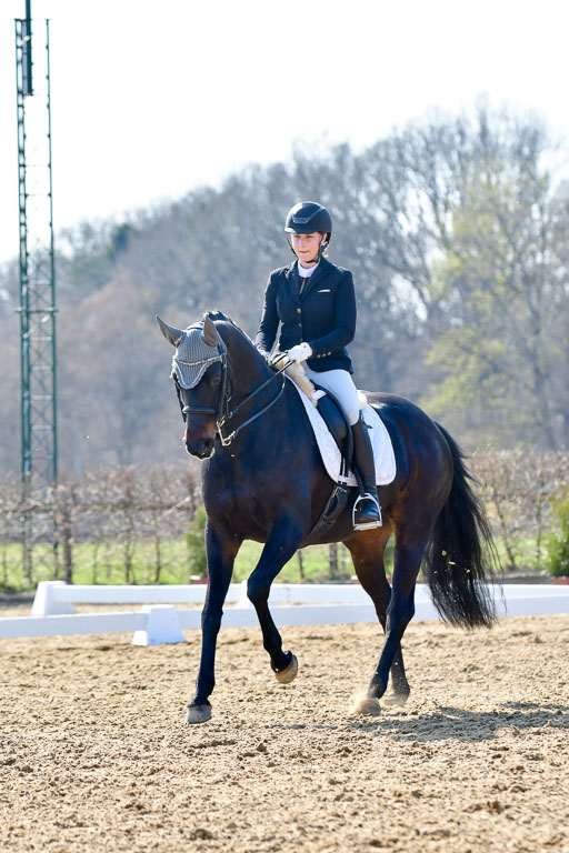 Reitsportzentrum Bremervörde | 170421 Dressur M+ _163 