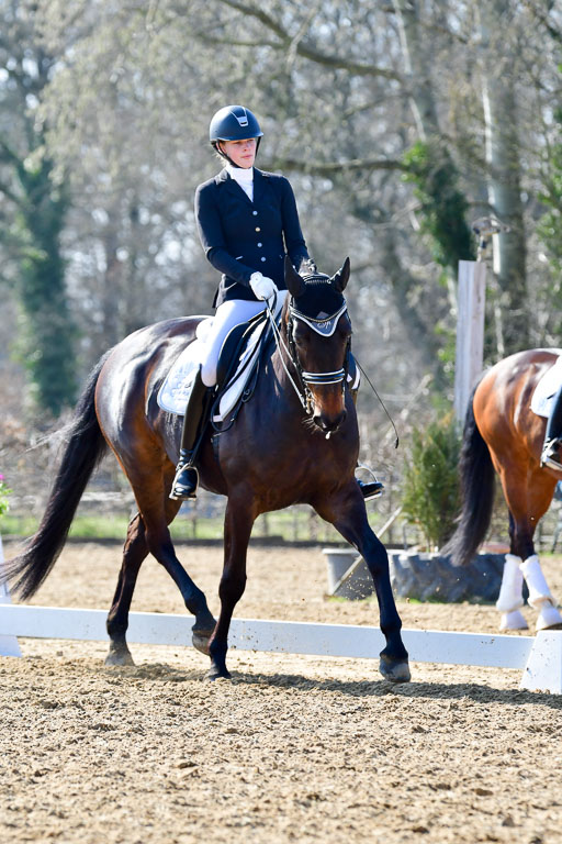 Reitsportzentrum Bremervörde | 170421 Dressur M+ _164 