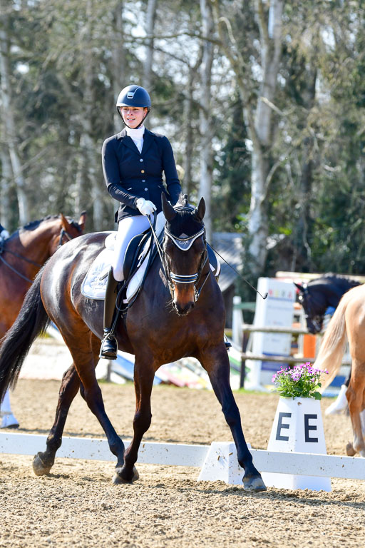 Reitsportzentrum Bremervörde | 170421 Dressur M+ _165 