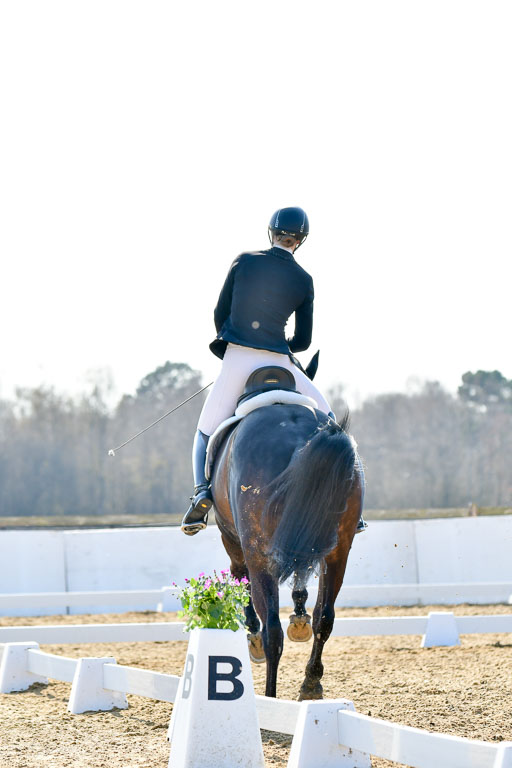 Reitsportzentrum Bremervörde | 170421 Dressur M+ _167 