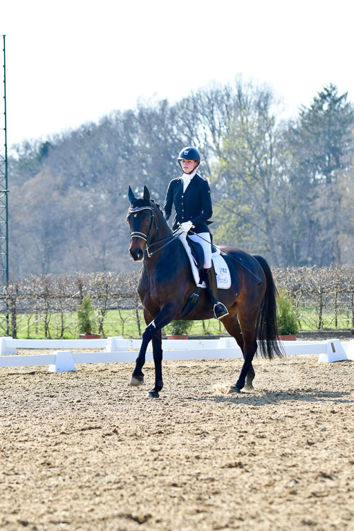 Reitsportzentrum Bremervörde | 170421 Dressur M+ _169 