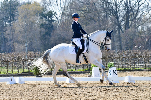 Reitsportzentrum Bremervörde | 170421 Dressur M+ _171 