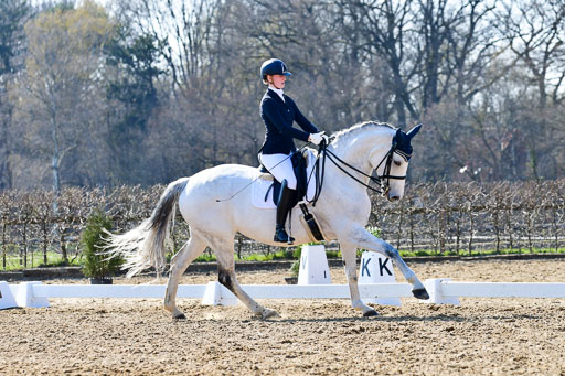Reitsportzentrum Bremervörde | 170421 Dressur M+ _172 