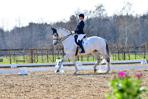 Reitsportzentrum Bremervörde | 170421 Dressur M+ _174 
