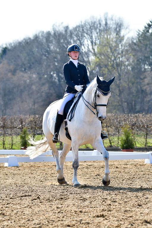 Reitsportzentrum Bremervörde | 170421 Dressur M+ _175 