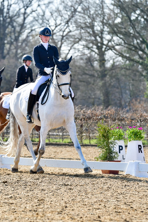 Reitsportzentrum Bremervörde | 170421 Dressur M+ _176 