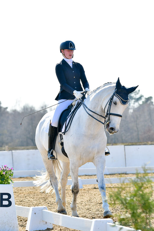 Reitsportzentrum Bremervörde | 170421 Dressur M+ _178 