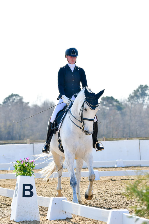 Reitsportzentrum Bremervörde | 170421 Dressur M+ _181 