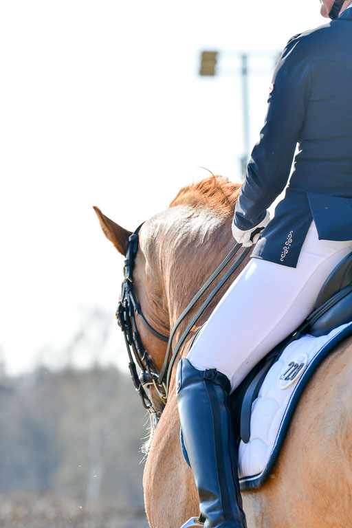 Reitsportzentrum Bremervörde | 170421 Dressur M+ _184 
