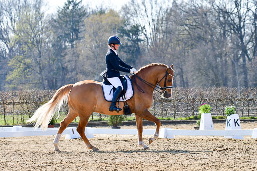 Reitsportzentrum Bremervörde | 170421 Dressur M+ _185 