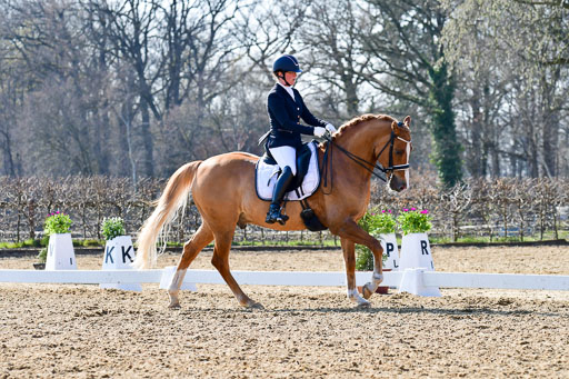 Reitsportzentrum Bremervörde | 170421 Dressur M+ _187 