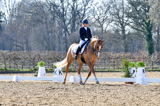 Reitsportzentrum Bremervörde | 170421 Dressur M+ _188 