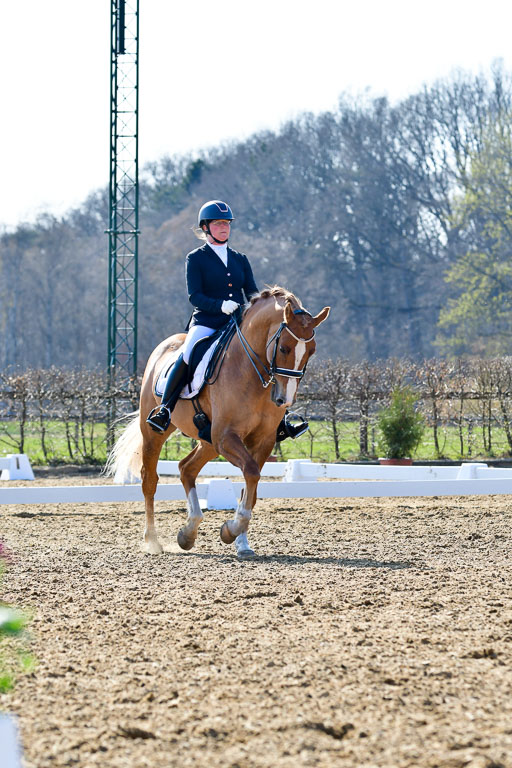 Reitsportzentrum Bremervörde | 170421 Dressur M+ _189 