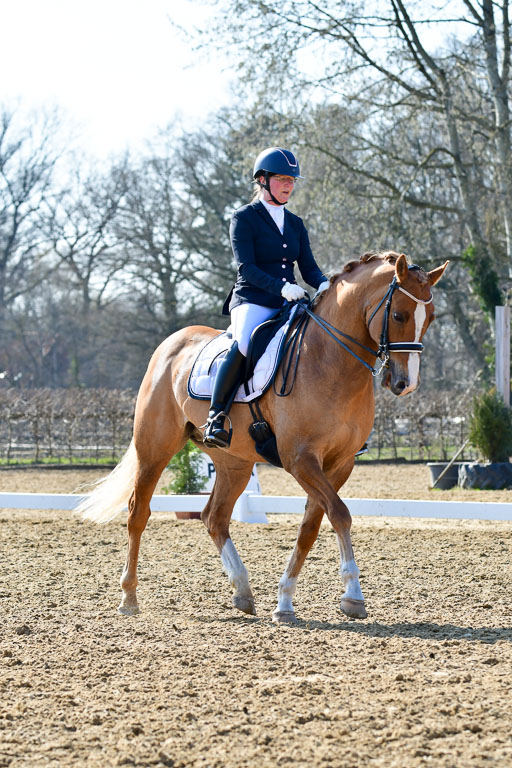 Reitsportzentrum Bremervörde | 170421 Dressur M+ _192 