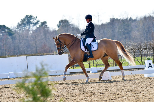 Reitsportzentrum Bremervörde | 170421 Dressur M+ _194 