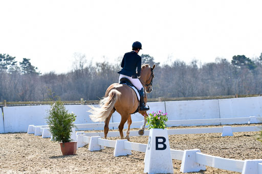 Reitsportzentrum Bremervörde | 170421 Dressur M+ _198 