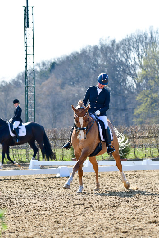 Reitsportzentrum Bremervörde | 170421 Dressur M+ _200 