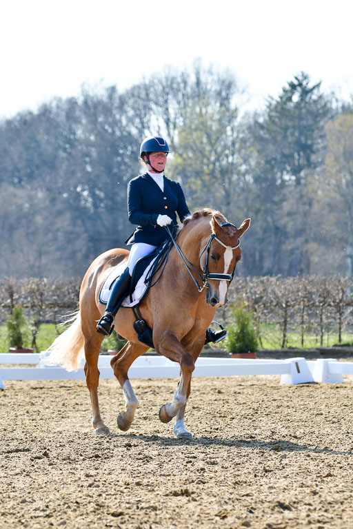 Reitsportzentrum Bremervörde | 170421 Dressur M+ _201 