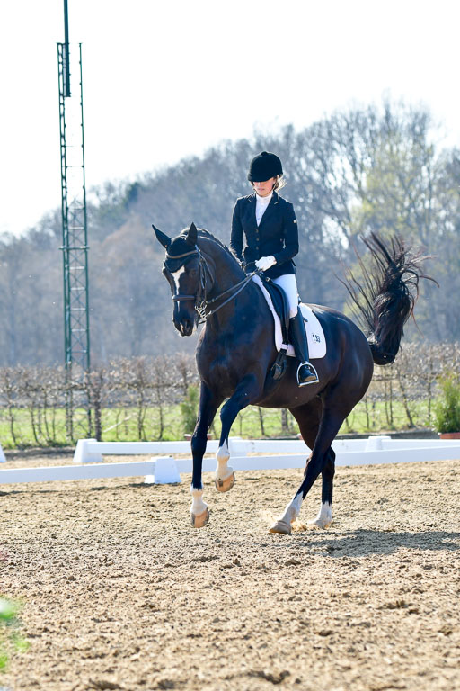 Reitsportzentrum Bremervörde | 170421 Dressur M+ _207 